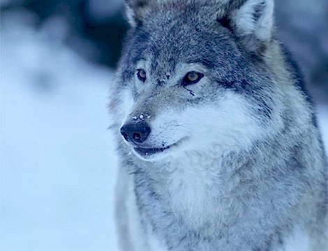 25 Kasım Uluslararası Kadına Yönelik Şiddetle Mücadele Günü